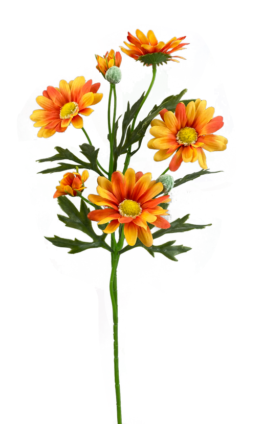 A vibrant depiction of a 21 Orange Daisy Spray (Product 63318OR), featuring six stems amid yellow blooms and greenery, set against a multicolored abstract background with splashes of green, purple, and blue.