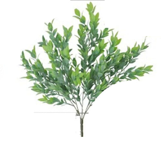 The 21 Ruscus Bush with 5 Stems (81580) digital illustration showcases a lush arrangement of oval-shaped leaves on each stem set against a white background.