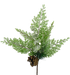 The Andrew Pine 84971SP18 features delicate green evergreen leaves and a small brown pine cone near the base, isolated on a transparent background. Measures approximately 18 inches in length.