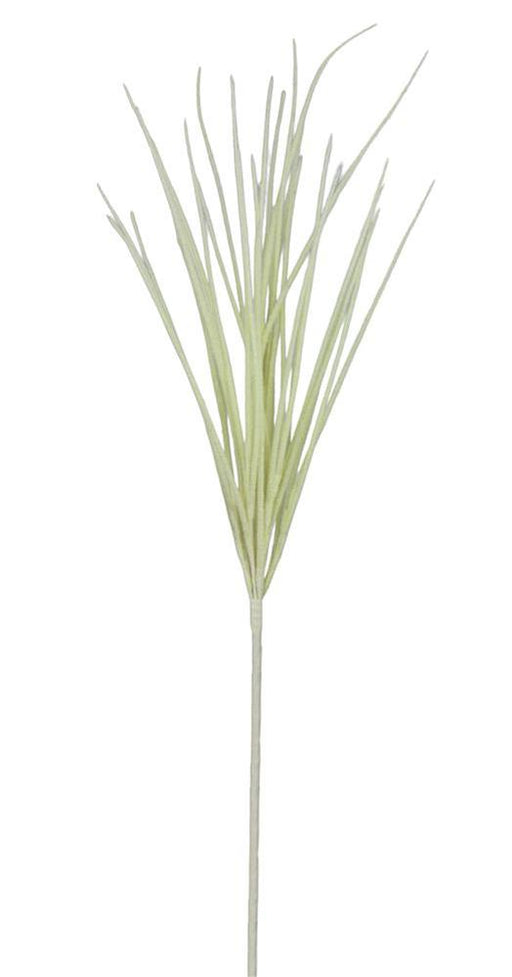 A close-up of the 27L Flocked Grass Bush against a plain cream background highlights its slender, green form with thin, elongated leaves clustered at the top, resembling a simple botanical illustration.