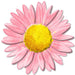 The 12 metal embossed daisy features light pink petals, a hot pink tinge, and a vibrant yellow center against a white backdrop (MD066015).