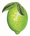 Featuring the 12H x 9.5W Embossed Watercolor Lime (MD071436) in lime green, this design includes a stylized lime with two top leaves and a textured, dotted surface for a vibrant, fresh look.
