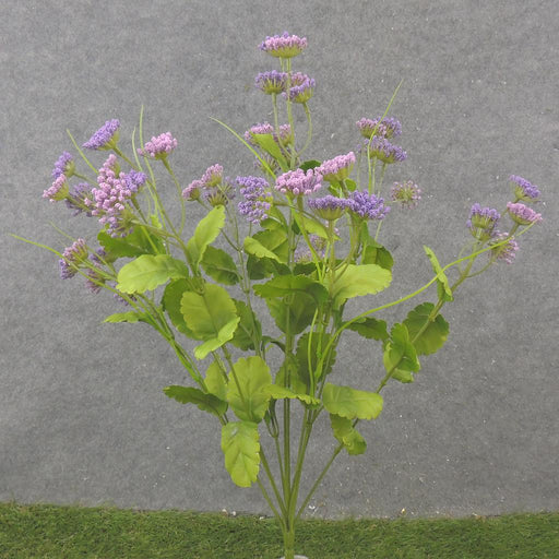 The 19 Purple Mini Queen Annes Lace Bush with 10 stems (SB2337-PUR) features delicate, clustered petals and green leaves against a plain gray background, capturing the plants elegance on slender stalks.