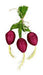 A 12 Red Beet Bundle with 3 stems, product code 63025RD, featuring stylized red beetroots and vibrant green stems tied with twine against a white background.