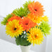 An 18 Citrus Gerber Daisy Bush with 12 stems sits in a white vase, featuring vibrant orange, yellow, and green blooms with lush leaves against a blurred background, creating a cheerful citrus-themed display.