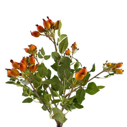 The 17 Rose Hips Bush SB55661-086 features a cluster of vibrant orange-red hypericum berries and green leaves against a white background, evoking the enchanting charm of blooming rose hips with its colorful contrast and lush foliage.