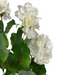 The Cream Geranium Bush SB781388-045 features artificial white flowers with ruffled petals, hints of pink, and vibrant green leaves elegantly mimicking a geranium bush against a light cream backdrop.