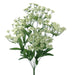 ueen Ann Lace Bush 30434CM